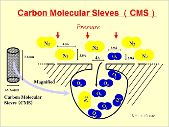 Carbon Molecular Sieve(图1)